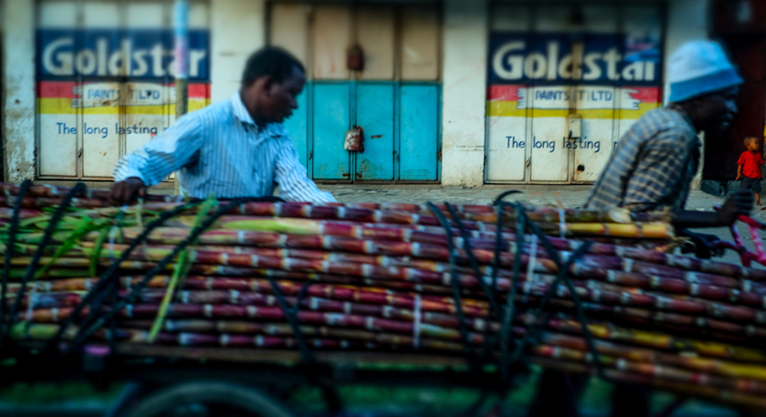 Worker transporting sugar canes in Tanzania