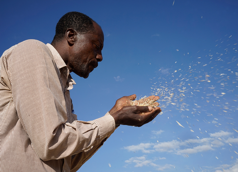 Boru Lencha village, Hetosa district, Arsi highlands, Ethiopia 2015. Photographer: CIMMYT/P. Lowe